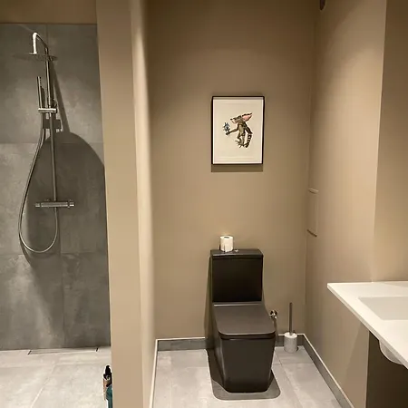 Penthouse דירה ריגה